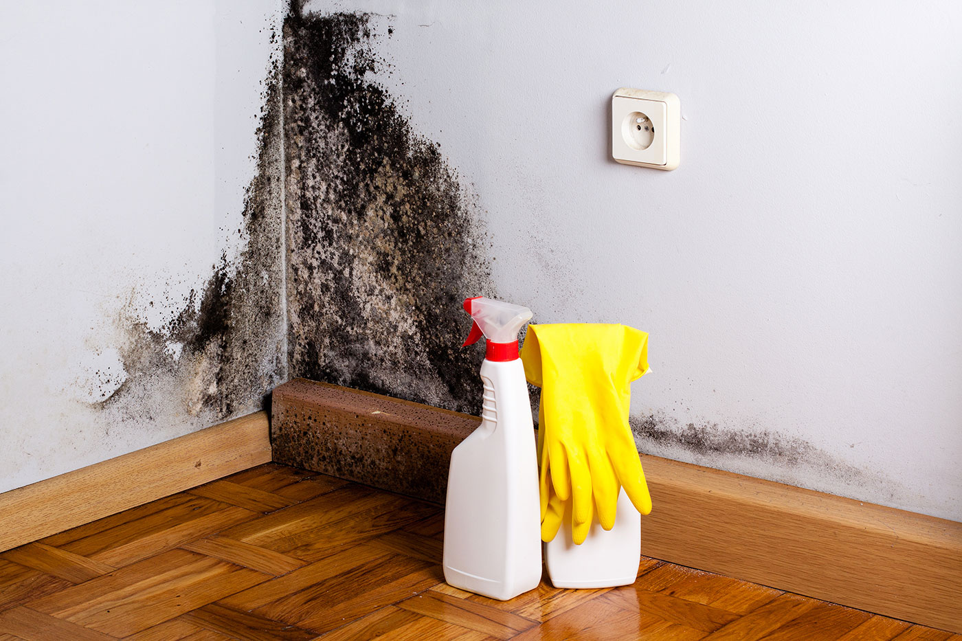 How do you clean mould off walls?